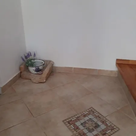 House Jasna In Island Center Silba