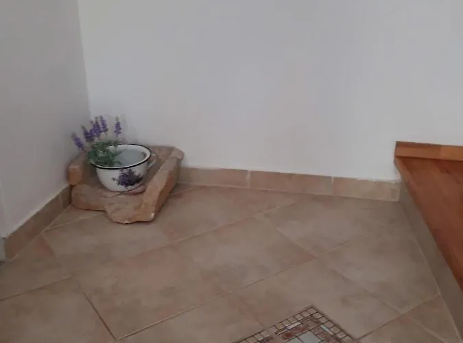 House Jasna In Island Center Silba